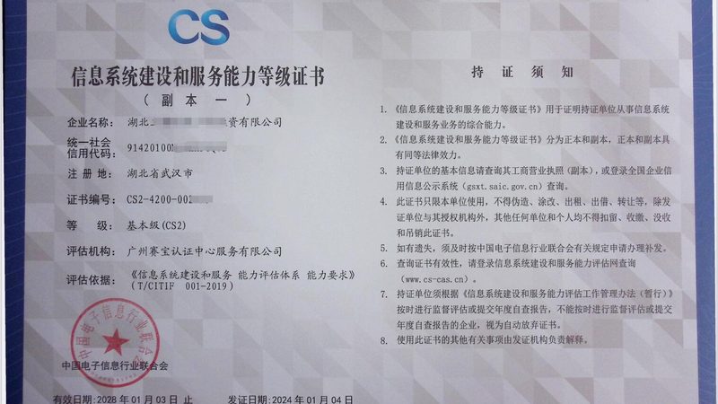 驻场运维：企业稳定运行的守护者**